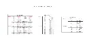 VISUEL + GUIDE TAILLE CERGY (3).webp