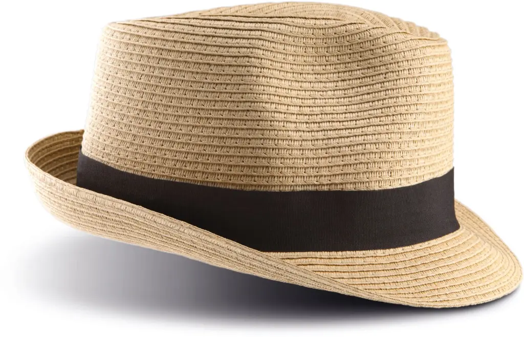 KP068 - Chapeau Panama