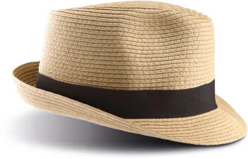 KP068 - Chapeau Panama