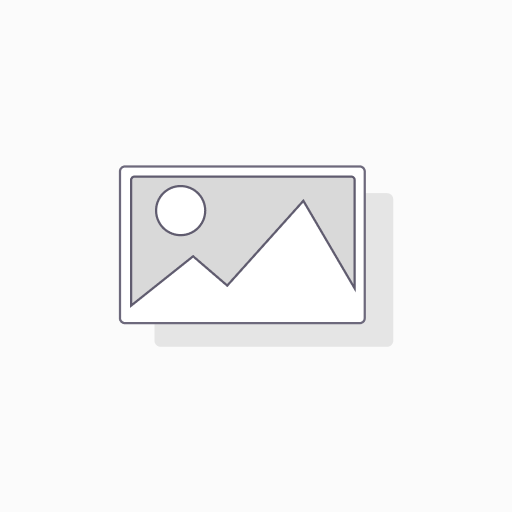 Chaussure Everlight CE Homme 